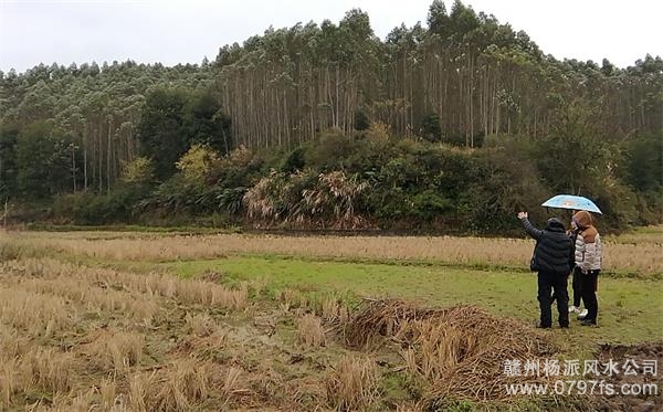 承德市陈老师带着爱徒寻龙点穴